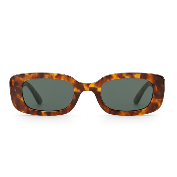 Dragonfly Brown