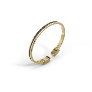 Voiz Bangle Gold