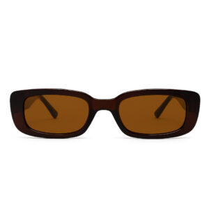 Dragonfly All Brown