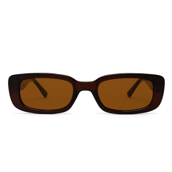 Dragonfly All Brown